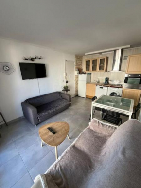 appartement 2 chambre, climatisation, plage à 50m